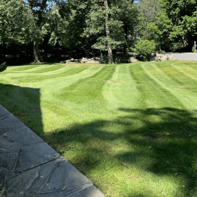 Yard Maintenance